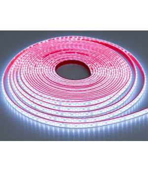 LED стрічка 24в, 120 шт/м, герметична, 8мм, холодний N24-2835-120-CW-68-8
