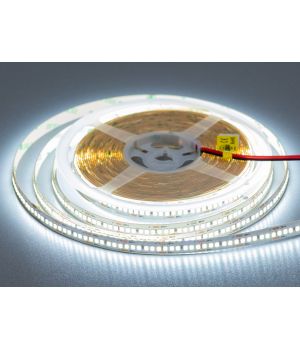 LED стрічка 24в, 240 діодів на метр, 10мм, холодний N24-2835-240-CW-20-10