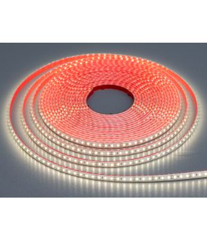 LED стрічка 12в, 120 шт/м, герметична, 8мм, нейтральний N12-2835-120-NW-65-8