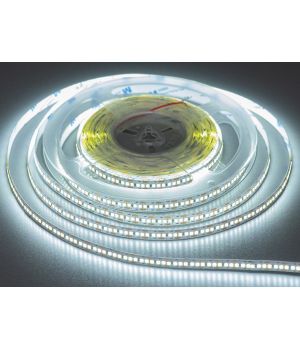 LED стрічка 12В, 240 діодів на метр, 10мм, холодний P12-2835-240-CW-20-10