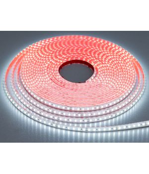 LED стрічка 24В, 120 шт/м, герметична, 8мм, холодний N24-2835-120-CW-65-8