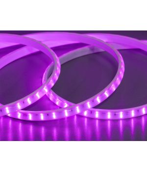 LED стрічка 220в, 120 шт/м, герметична, 10мм, рожевий P220-2835-120-PINK-65-12