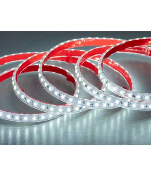 LED стрічка 220в, 120шт/м, герметична, 10мм, холодний P220-3535-120-CW-65-8