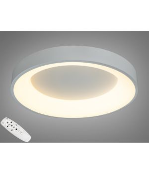 Світильник із регульованим кольором світіння 45 W 2166-500WH